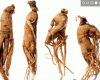 ginseng