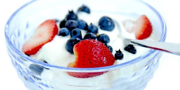 alimentos probioticos