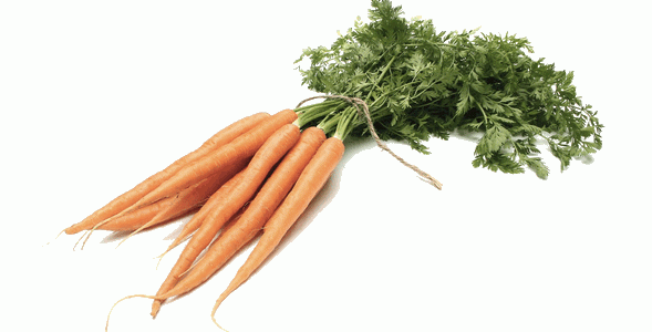 zanahorias
