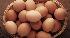 huevos