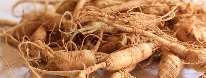 Que Es El Ginseng Y Para Que Sirve Tu Salud Y Bienestar