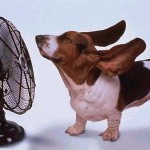 consejos para evitar en calor en casa