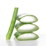 propiedades del aloe vera