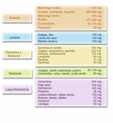 alimentos ricos en calcio