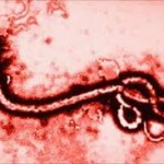 que es el ebola