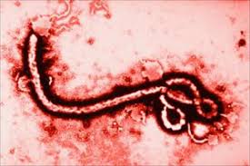que es el ebola