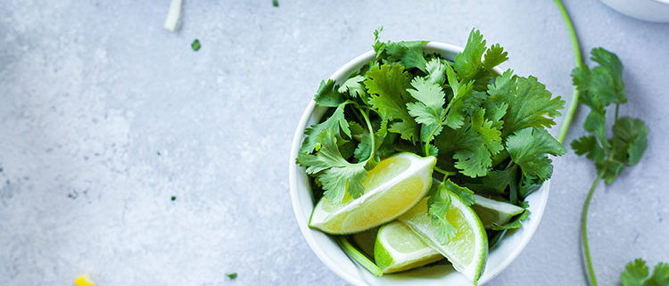 Propiedades del cilantro